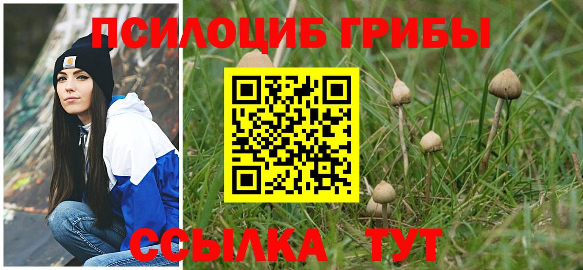 Ржев  Галлюциногенные грибы ЛСД  Вход с VPN 